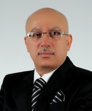 Tarihten G&uuml;n&uuml;m&uuml;ze Yatırımlara Teşvikler